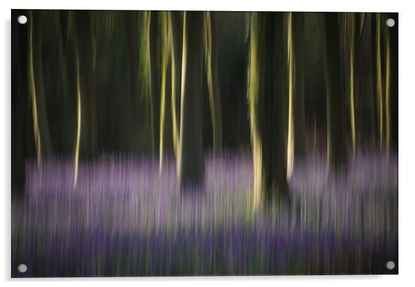 Woodland Blur Acrylic by Sue MacCallum- Stewart