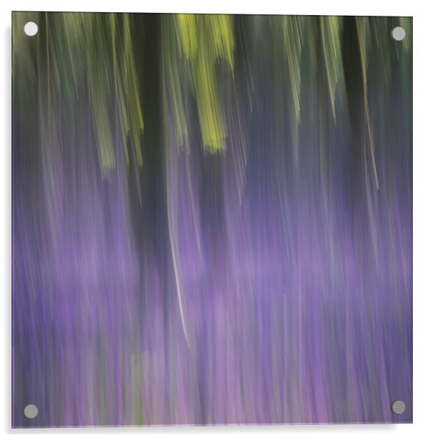 Lime & Purple Acrylic by Sue MacCallum- Stewart