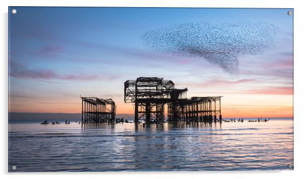 A "Tornado" of Starlings Acrylic by Sue MacCallum- Stewart