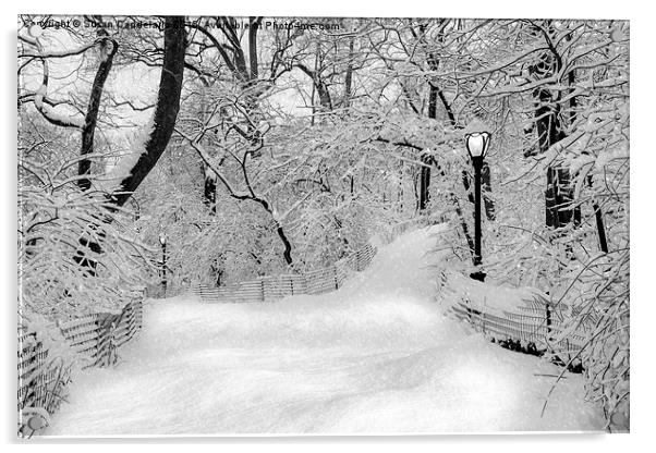 Central Park Dressed Up In White Acrylic by Susan Candelario