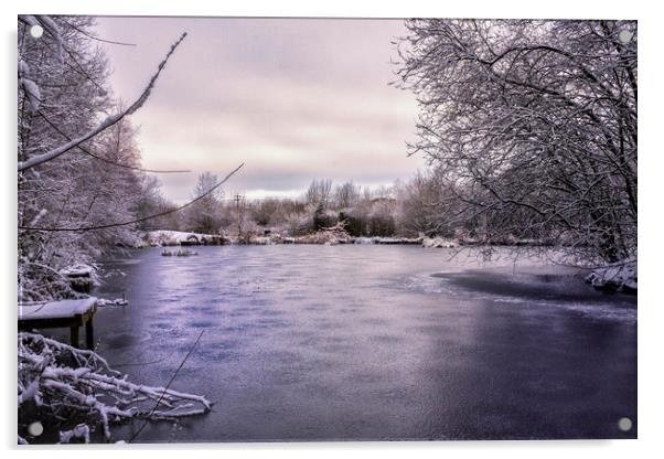 Frozen Lake Acrylic by Jonathan Thirkell