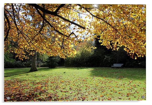  Greenwich Park in the Autumn Sunlight Acrylic by Rebecca Giles