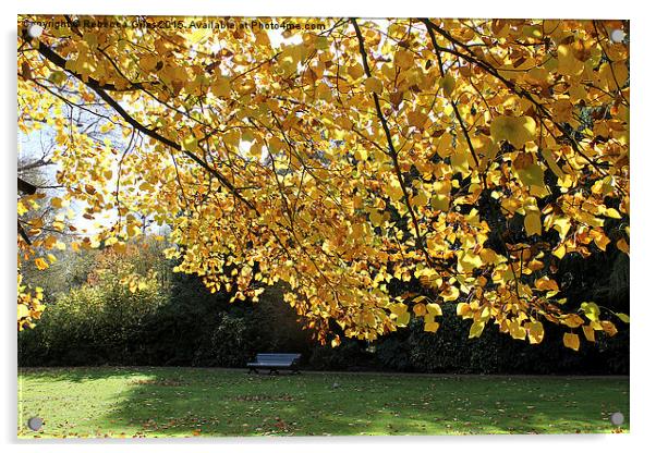  Single Bench in Greenwich Park - Autumn Acrylic by Rebecca Giles