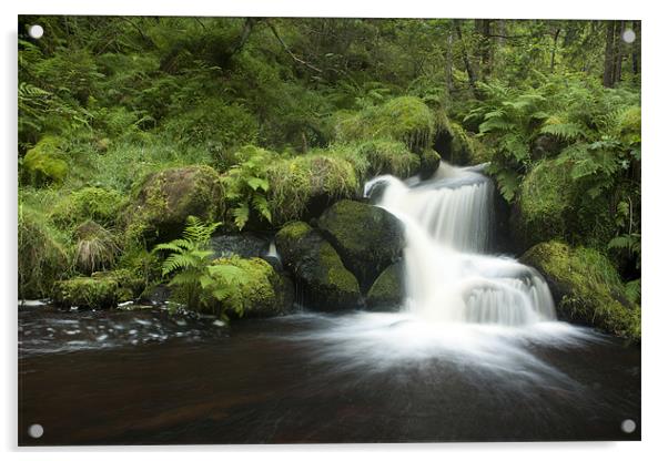 Wyming Brook Falls Acrylic by Josh Kemp-Smith