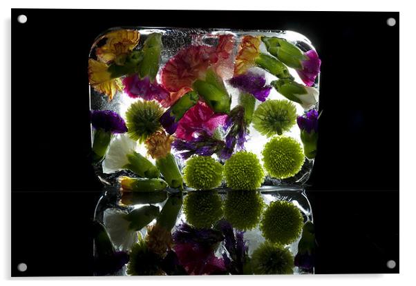 Frozen Flowers Acrylic by Josh Kemp-Smith