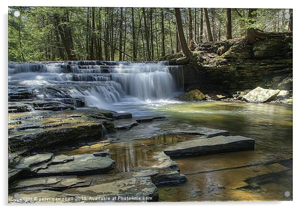 Salt Springs Park in PA Acrylic by peter campbell