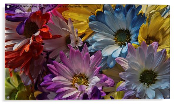 Colorful Flower Acrylic by peter campbell