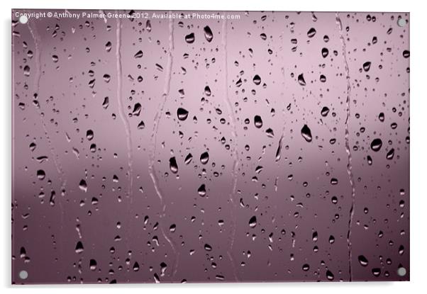 Rain Drops Acrylic by Anthony Palmer-Greene
