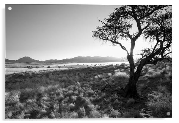 Namibian Trees 8 B&W Acrylic by Alan Bishop