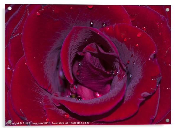 Rose Water Acrylic by Phil Emmerson