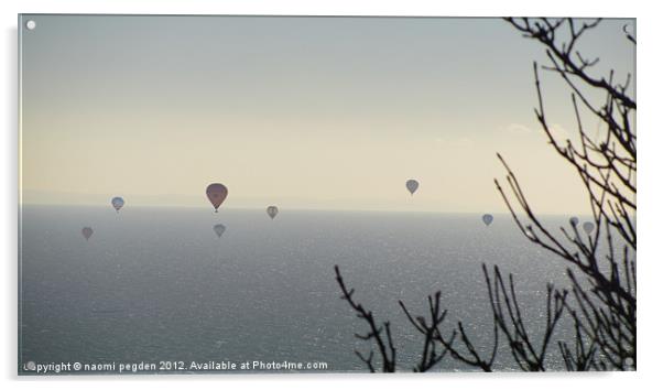 Sunny Sunday Flight Acrylic by N C Photography