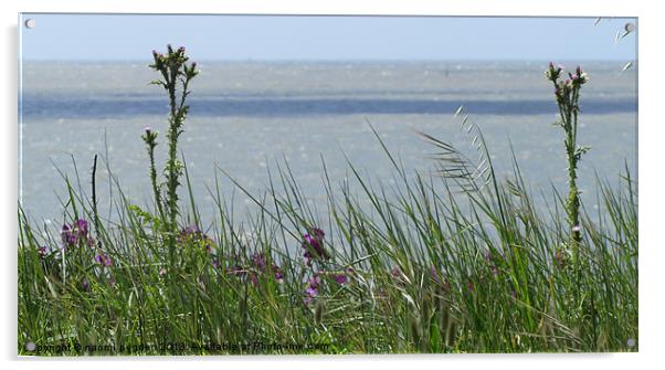 Through the grass to the sea Acrylic by N C Photography