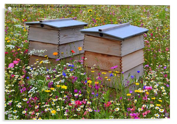 Wild Flower Meadow-Bee Hives Acrylic by Paula Palmer canvas