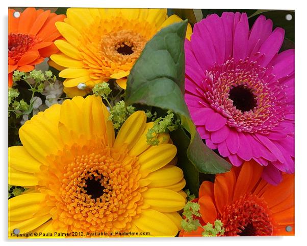 Bouquet of gerberas! Acrylic by Paula Palmer canvas