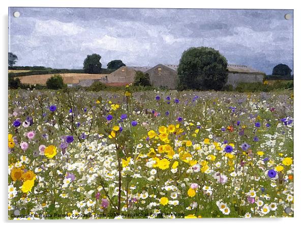 wildflower meadow 2 Acrylic by Paula Palmer canvas