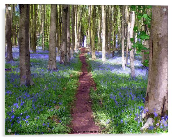Pathway through the Bluebell wood. Acrylic by Paula Palmer canvas