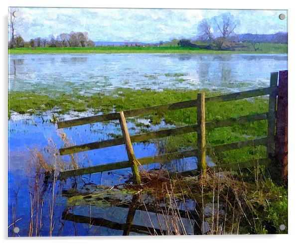 Flooding on the Somerset Levels Acrylic by Paula Palmer canvas
