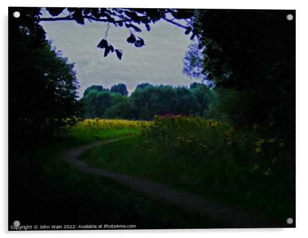 A walk in the country (Digital Art Painting) Acrylic by John Wain