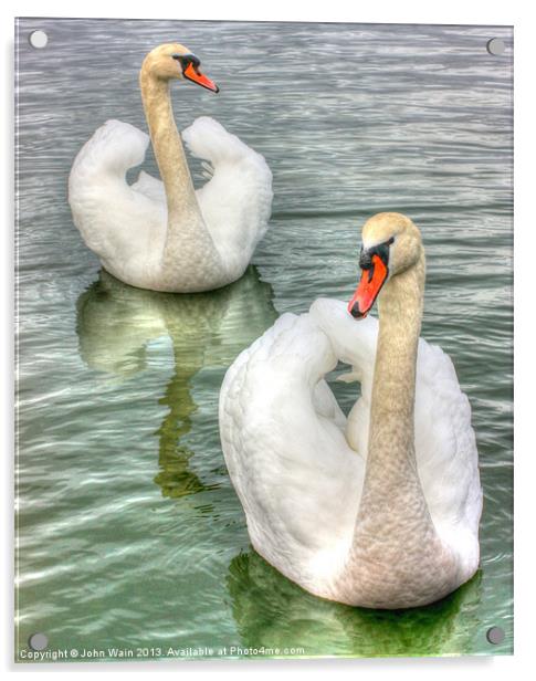 Bonded Swans on the Lake Acrylic by John Wain