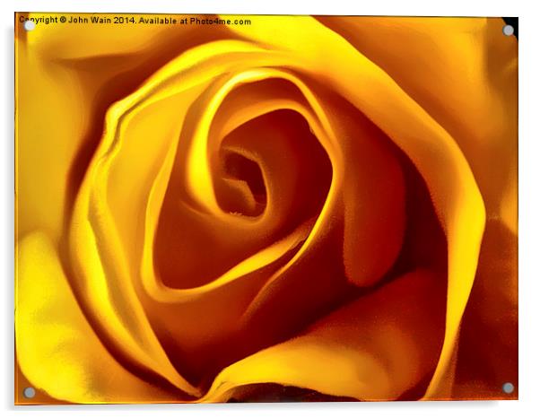 Opening Rose Bud Acrylic by John Wain