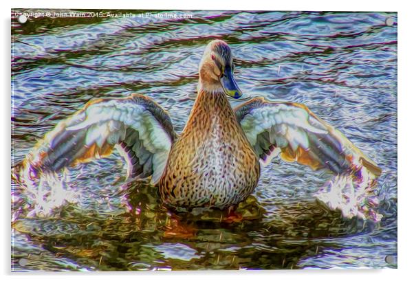 Lady Duck Acrylic by John Wain