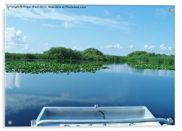 Airboat ride on the Everglades Acrylic by Roger Wain