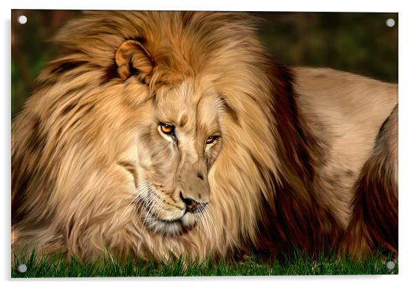 Cameron the Lion Acrylic by Big Cat Rescue