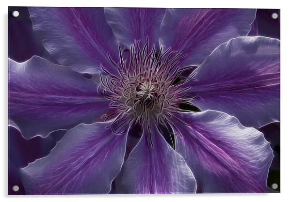 Fractal flower Acrylic by jim scotland fine art