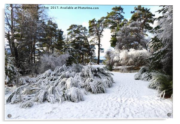Winter Aviemore Acrylic by jim scotland fine art