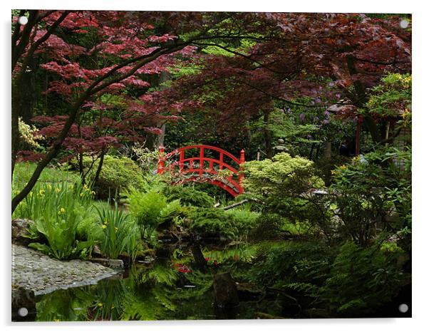 Japanese garden Acrylic by Chris  Breeze