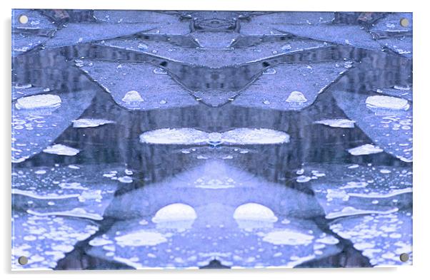 the thaw Acrylic by Ruth Hallam