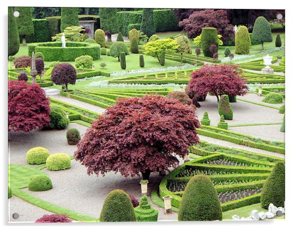 Gardens of Drummond Castle Acrylic by Ruth Hallam