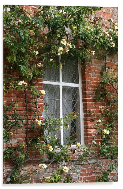 Window and yellow climbing rose Acrylic by Ruth Hallam