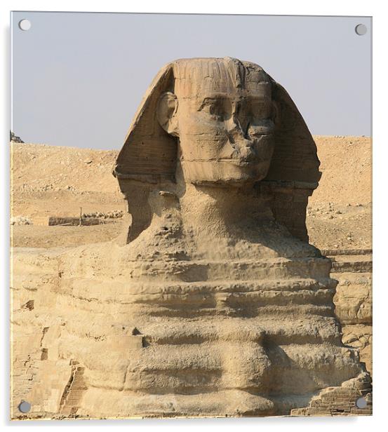 Great Sphinx of Giza 2 Acrylic by Ruth Hallam