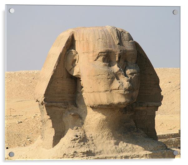Great Sphinx of Giza 6 Acrylic by Ruth Hallam