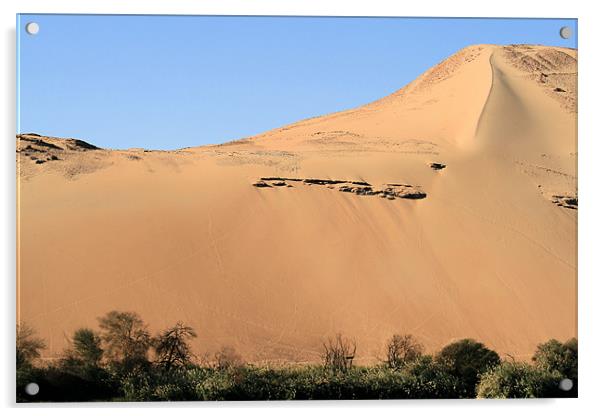 Egyptian desert 4 Acrylic by Ruth Hallam