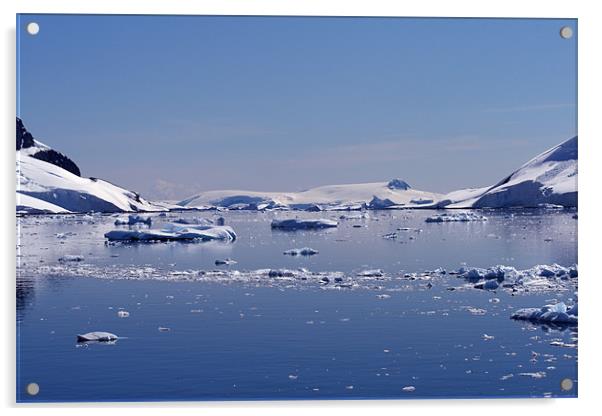 Icebergs in Antarctica Acrylic by Ruth Hallam