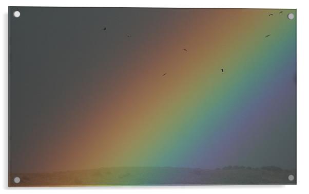 Rainbow Acrylic by Ruth Hallam