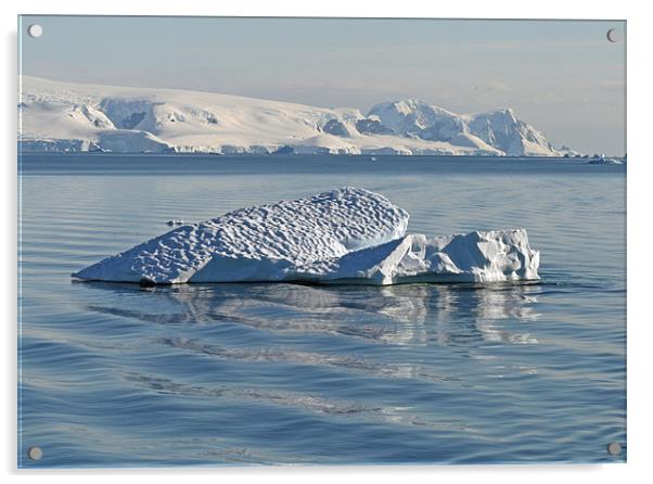 iceberg 2 Acrylic by Ruth Hallam