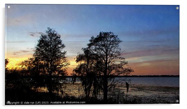 CYPRESS TREES florida sunset Acrylic by dale rys (LP)