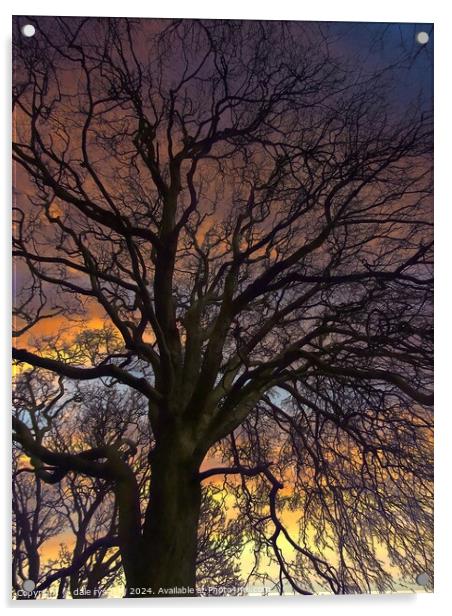 TREE'S IN WINTER Acrylic by dale rys (LP)