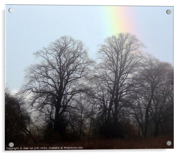 rainbow in the woods Acrylic by dale rys (LP)