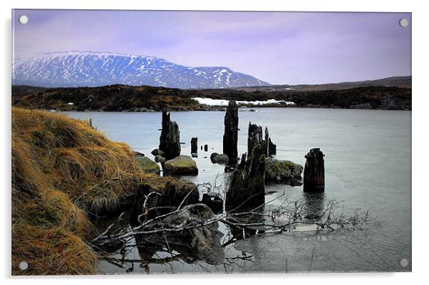 highland winter 2 Acrylic by dale rys (LP)