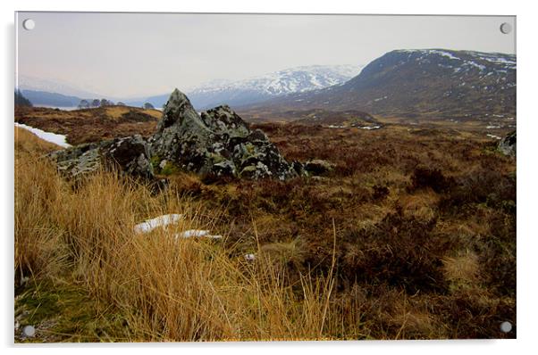 highlands Acrylic by dale rys (LP)