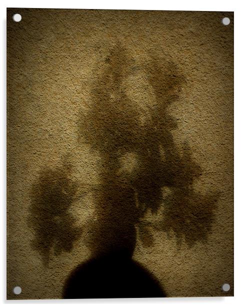 moody bonsai Acrylic by dale rys (LP)