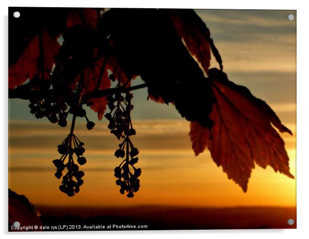 beauty of sunset Acrylic by dale rys (LP)
