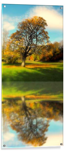 lone tree fall Acrylic by dale rys (LP)
