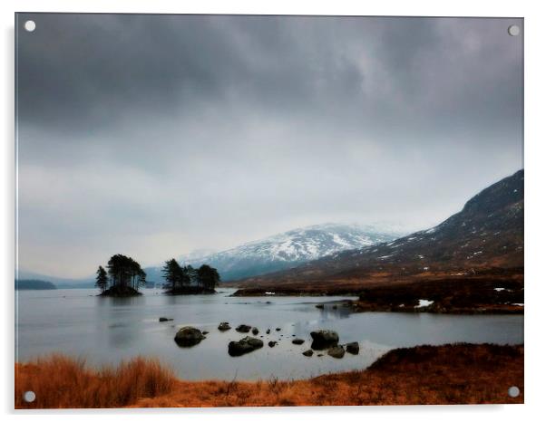 highland scene Acrylic by dale rys (LP)