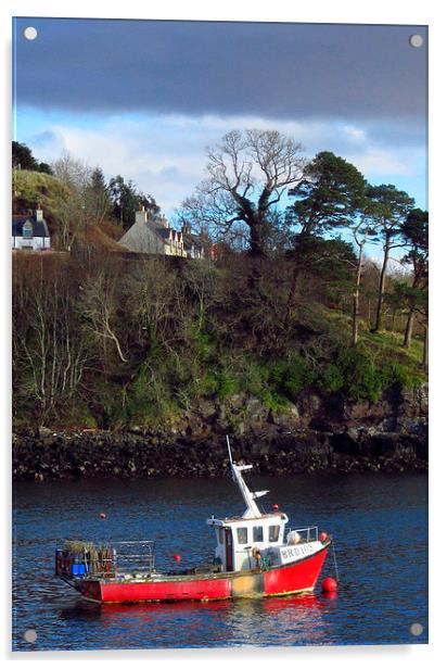 red fishing boat-skye Acrylic by dale rys (LP)