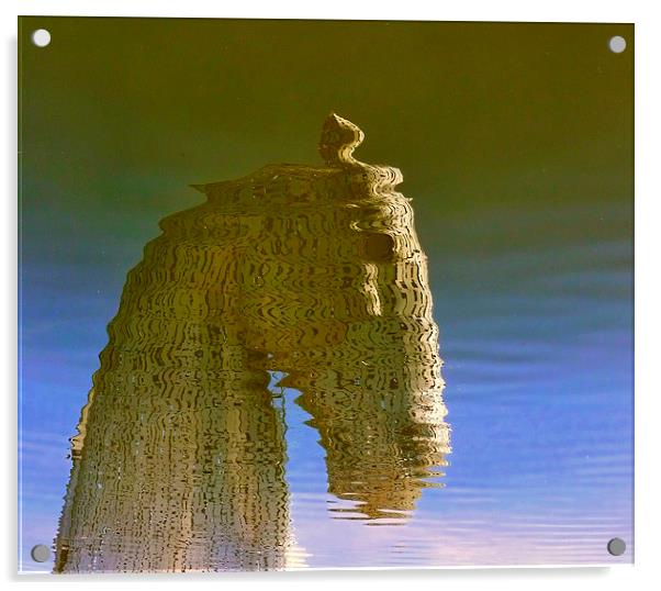  kelpies reflection Acrylic by dale rys (LP)